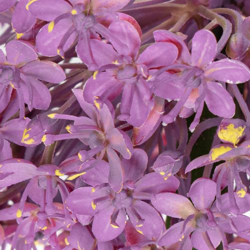 Product Artificial Allium flower, ornamental onion, elegant room decoration, 90cm