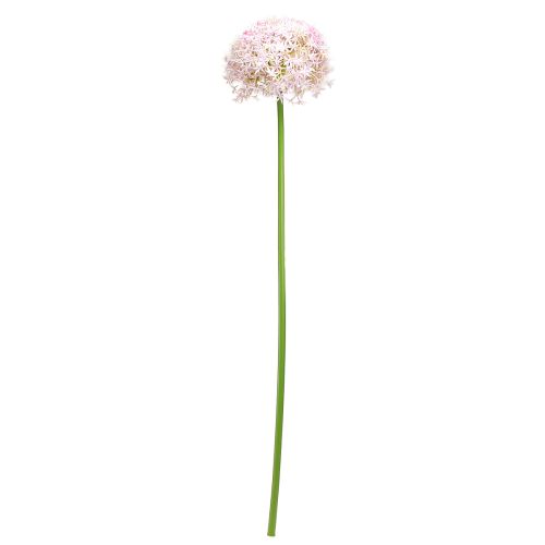 Product Allium with pink flower ornamental onion artificial Ø18cm L90cm