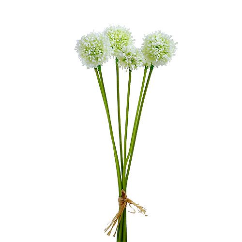 Floristik24 Allium 35cm White 6pcs