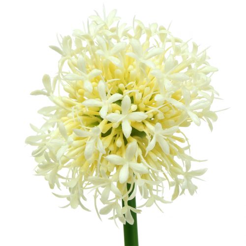 Product Ornamental Allium Artificial White 51cm 4pcs