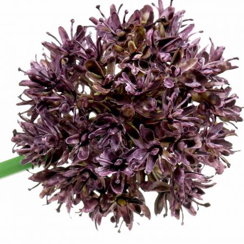 Product Ornamental Allium Artificial Purple Ø7cm H58cm 4pcs