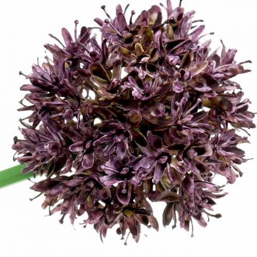 Floristik24 Ornamental Allium Artificial Purple Ø7cm H58cm 4pcs