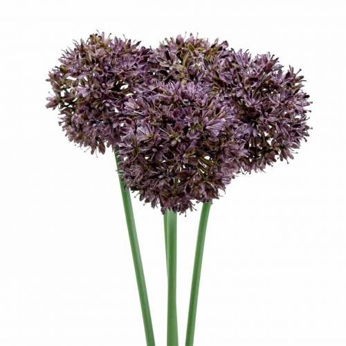 Floristik24 Ornamental Allium Artificial Purple Ø7cm H58cm 4pcs