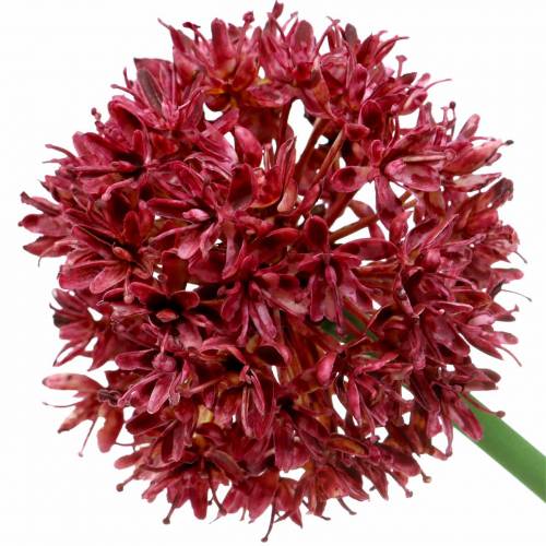 Floristik24 Ornamental Allium Artificial Mauve Ø7cm H58cm 4pcs