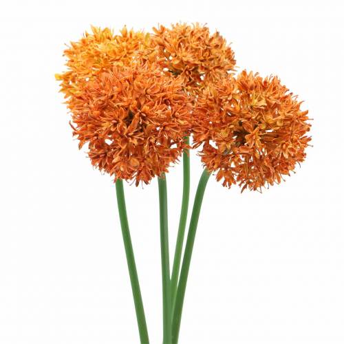 Floristik24 Ornamental onion Allium artificial orange Ø7cm H58cm 4pcs