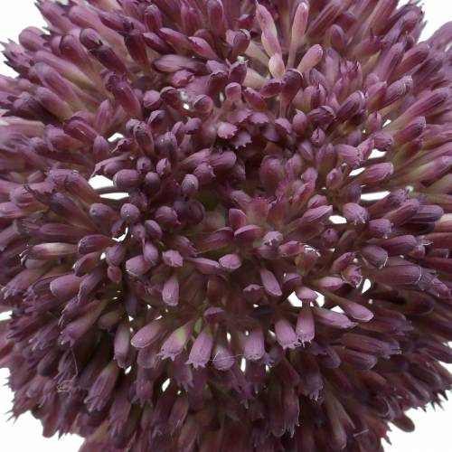 Product Ornamental allium artificial lilac Ø12cm 65cm