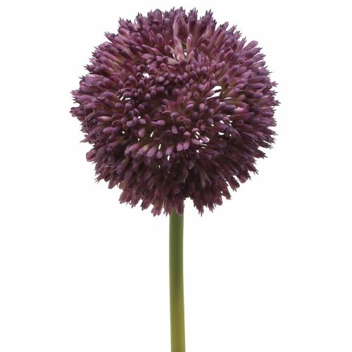 Floristik24 Ornamental allium artificial lilac Ø12cm 65cm