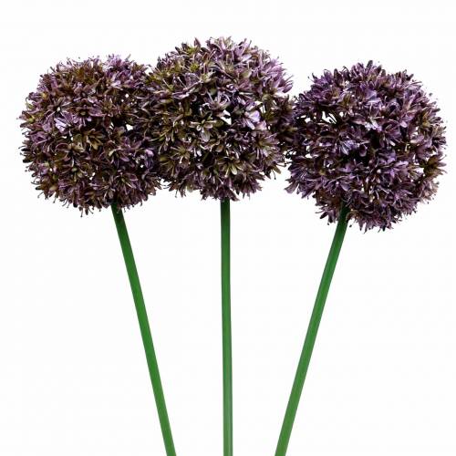 Floristik24 Ornamental allium artificial purple 70cm 3pcs