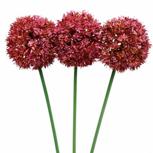 Floristik24 Ornamental allium artificial Mauve Ø9cm H70cm 3pcs