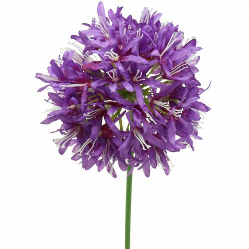 Floristik24 Ornamental allium artificial purple Ø12cm H62cm