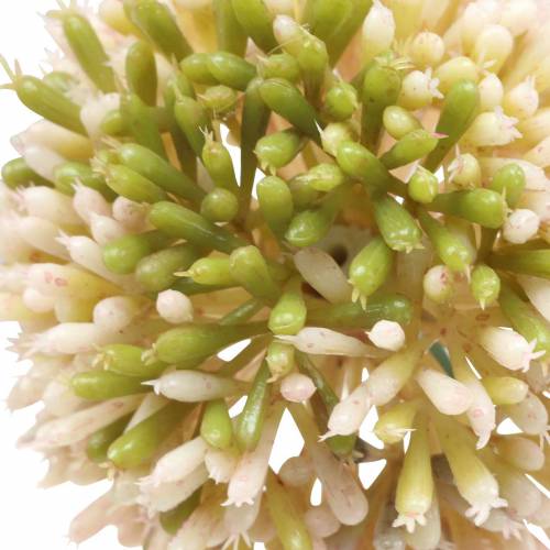 Product Ornamental allium artificial pink / green Ø8cm 58cm