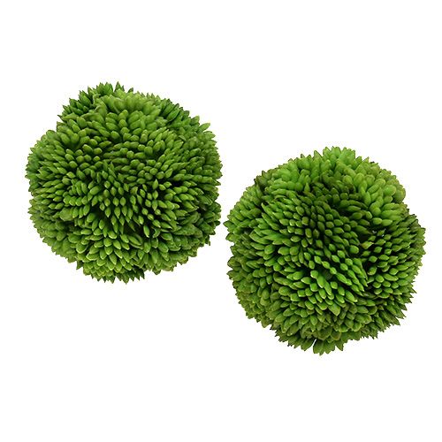 Floristik24 Allium Ball 5cm Green 4pcs