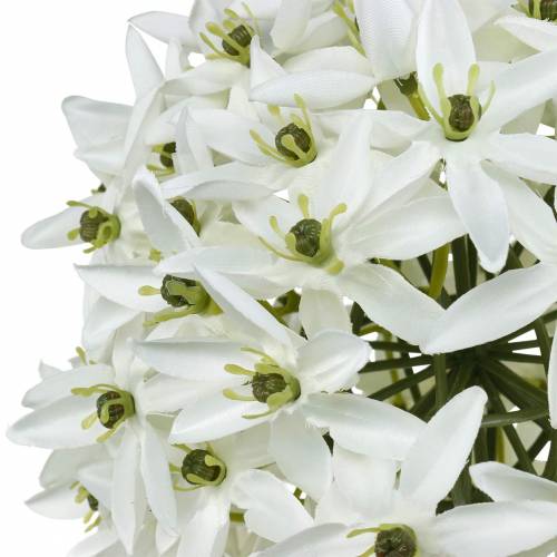 Product Decorative flower Allium, artificial ball leek, ornamental onion white Ø20cm L72cm