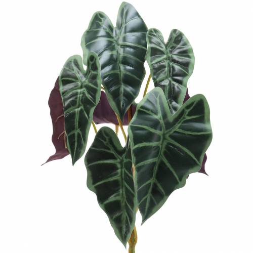 Product Alocasia arrow leaf green, violet artificial plant H48cm