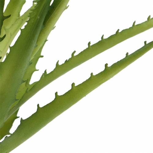 Product Aloe Vera artificial Green 26cm
