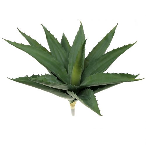 Floristik24 Aloe branch artificial green 47cm