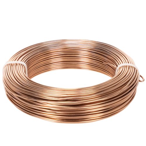 Brown Aluminium Wire 2mm x 60m for Floristry and Crafting (500g) buy online | Floristik24.co.uk