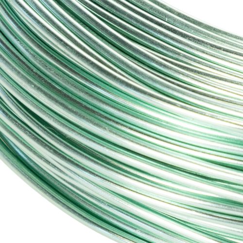 Mint Green Aluminium Wire 2mm x 60m for Crafting and Decoration | Floristik24.co.uk