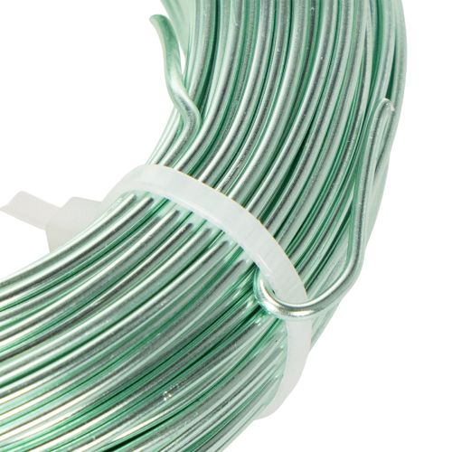 Mint Green Aluminium Wire 2mm x 60m for Crafting and Decoration | Floristik24.co.uk