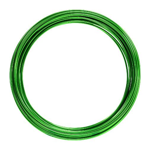 Floristik24 Aluminum wire 2mm 100g apple green