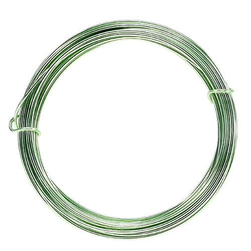 Product Aluminum wire 2mm 100g mint green