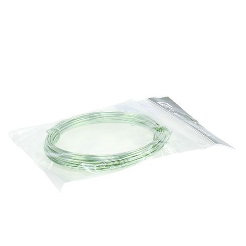 Product Aluminum wire 2mm 100g mint green