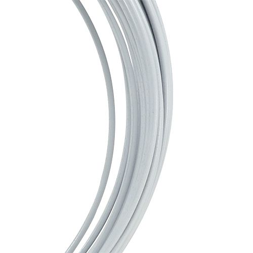 Product Aluminium wire 2mm 100g white