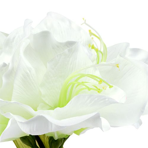 Product Amaryllis Flower White L 73cm 2pcs