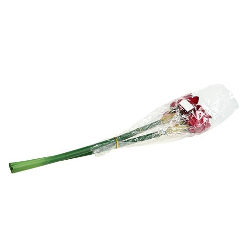 Floristik24 Amaryllis Dark Red L 73cm 2pcs