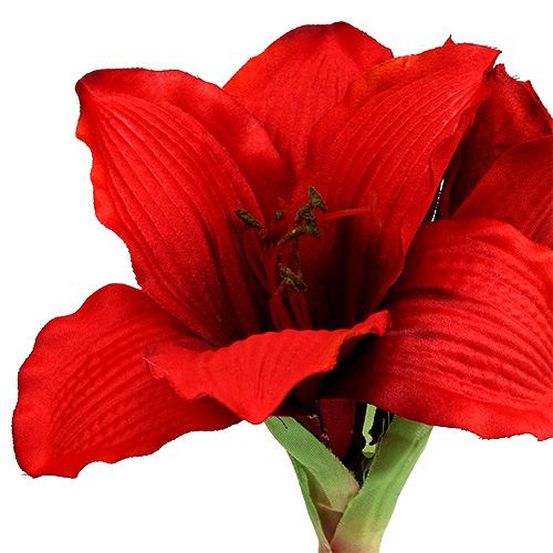 Product Amaryllis Red L 68cm 1pc