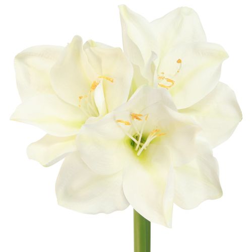 Product Amaryllis Christmas Flowers Artificial L55cm White 2pcs