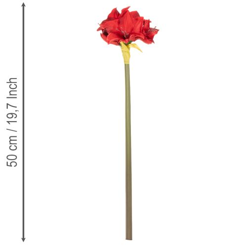 Artificial red amaryllis flower with stem, flower decoration for Christmas, 50cm | Floristik24.co.uk