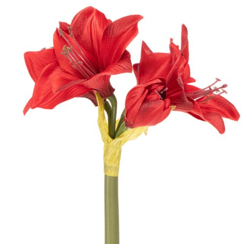 Artificial red amaryllis flower with stem, flower decoration for Christmas, 50cm | Floristik24.co.uk