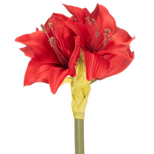 Artificial red amaryllis flower with stem, flower decoration for Christmas, 50cm | Floristik24.co.uk