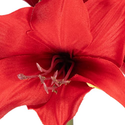 Artificial red amaryllis flower with stem, flower decoration for Christmas, 50cm | Floristik24.co.uk