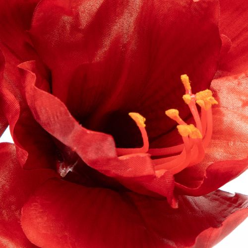 Artificial Amaryllis flower, red, long stem, for vase and arrangement, 77cm | Floristik24.co.uk