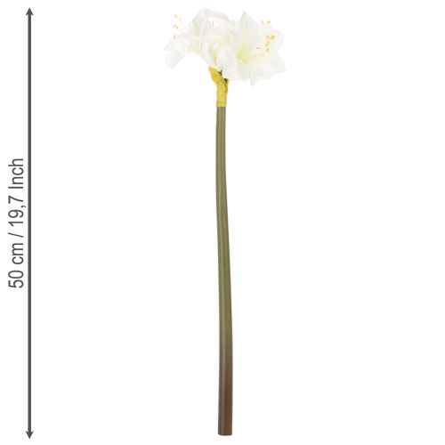 Artificial Amaryllis flower, white, with stem, Advent and Christmas, 50cm | Floristik24.co.uk