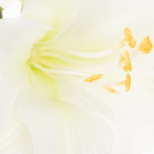 Artificial Amaryllis flower, white, with stem, Advent and Christmas, 50cm | Floristik24.co.uk