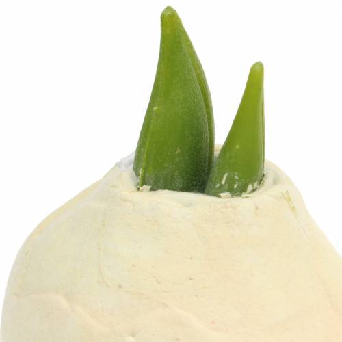 Floristik24 Amaryllis tuber Artificial white 12.5cm 3pcs