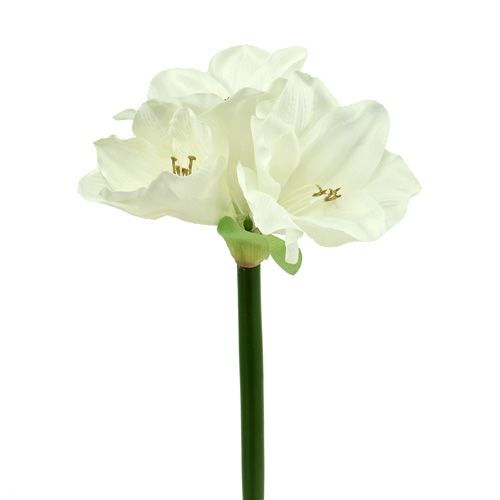 Floristik24 Amaryllis artificial 60cm white