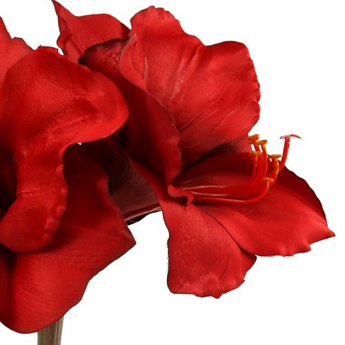 Floristik24 Amaryllis artificial large red 96.5cm