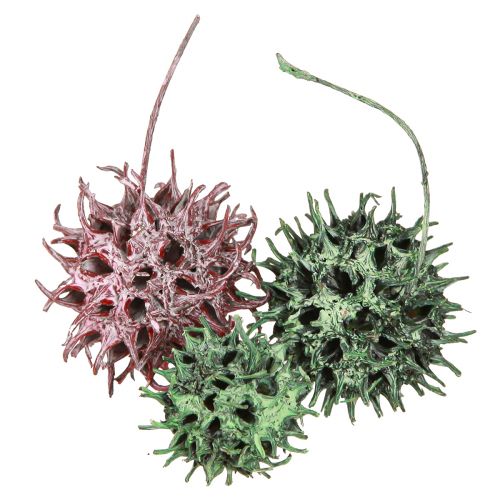 Sweetgum cone decoration green berry frosted natural decoration 500g