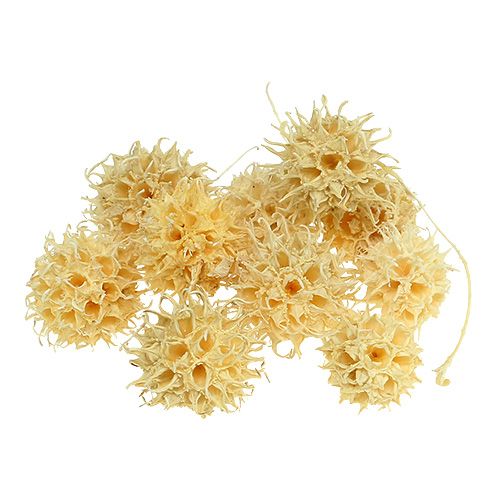 Product Sweet gum bleached 250g