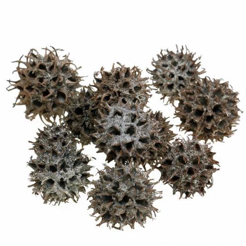 Floristik24 Sweetgum cones nature washed white 250g