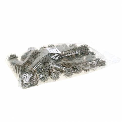 Product Sweetgum cones nature washed white 250g