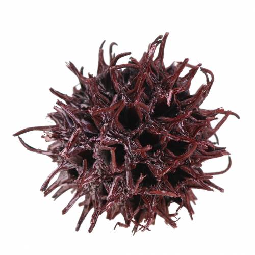 Product Red sweetgum cones frosted 250g