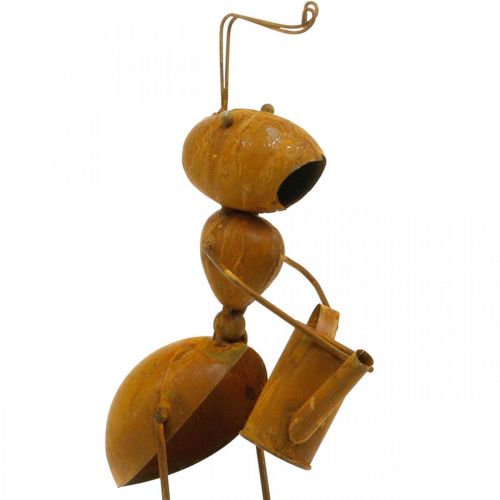 Floristik24 Decorative plug ant, bed decoration, ant with watering can, flower plug patina