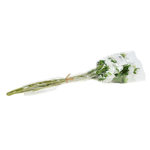 Floristik24 Anemone artificial white 6pcs