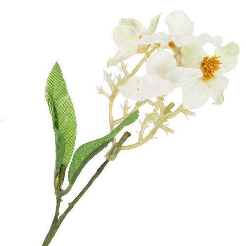 Product Apple blossom branch, artificial flower branch, white, 65cm, 1 piece