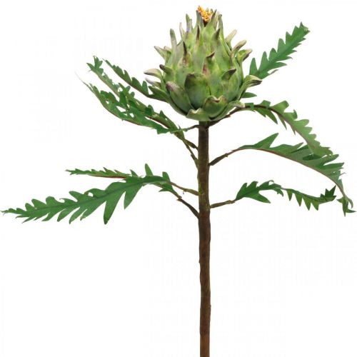 Product Artichoke Artichoke Green Deco Autumn Ø7.5cm H43cm